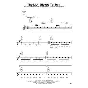 The Lion Sleeps Tonight