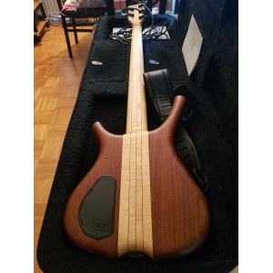 Warwick (Infinity LTD 2000)