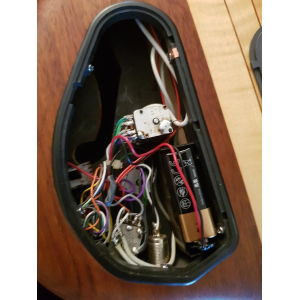 Warwick (Infinity LTD 2000)