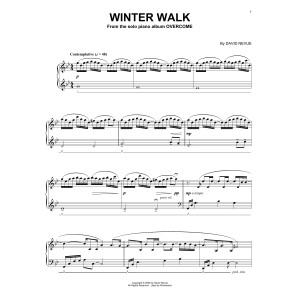 Winter Walk