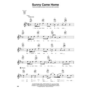 Sunny Came Home