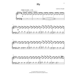 Fly