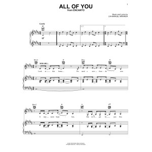 All Of You (from Encanto)