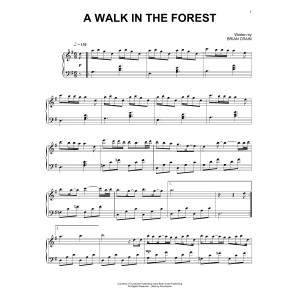 A Walk In The Forest
