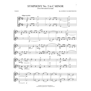 Symphony No. 5 In C Minor, First Movement Excerpt