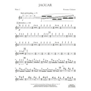 Jaguar - Flute 2