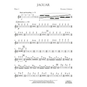Jaguar - Flute 1