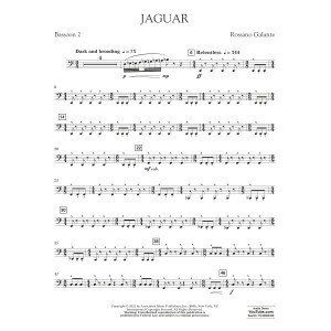 Jaguar - Bassoon 2