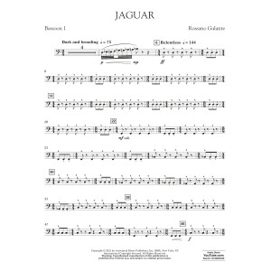 Jaguar - Bassoon 1