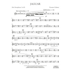 Jaguar - Eb Alto Saxophone 1