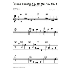 Piano Sonata No. 19, First Movement