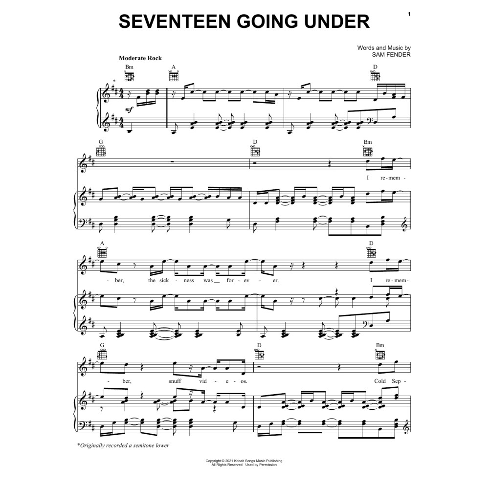 Seventeen Going Under