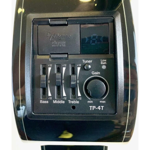 Takamine GD15CE Negro 2019