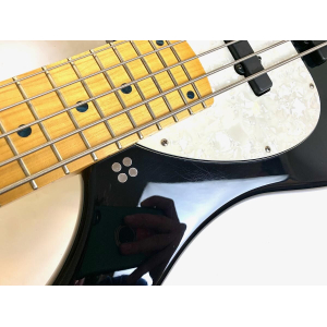 Sandberg Ken Taylor 5 Basic 2015 Negro