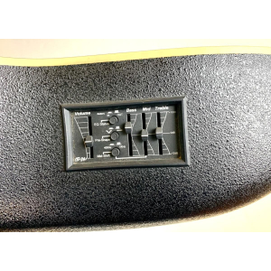 Ovation CC165 Celebrity 12 cordes Sunburst