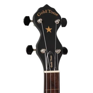 Gold Tone Ac-12 Fl