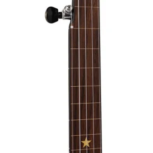 Gold Tone Ac-12 Fl