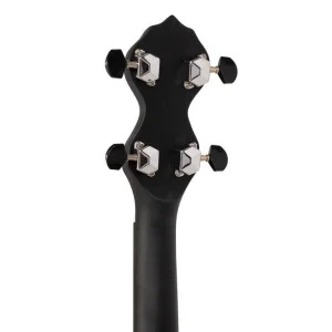 Gold Tone Ac-12 Fl
