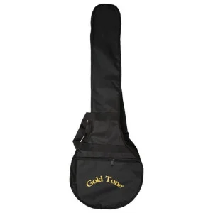 Gold Tone Ac-12 Fl