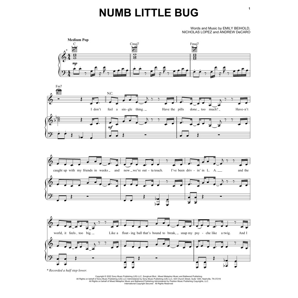 Numb Little Bug
