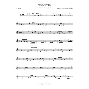 Pas de deux (from The Nutcracker)