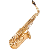 Capelle Alto Saxophone CAP-SA13 Lacquered Brass