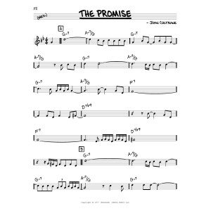 The Promise