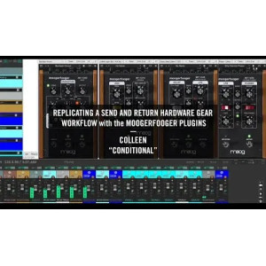 MoogerFooger MF-104S Analog Delay