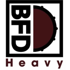 BFD SCHWER
