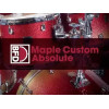 BFD MAPLE CUSTOM ABSOLUTE
