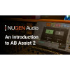 NUGEN AB Assist 2