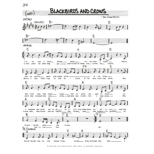 Blackbirds and Crows