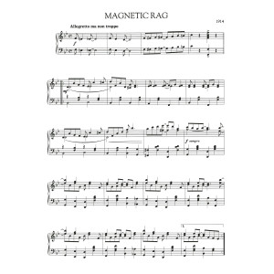 Magnetic Rag
