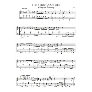 The Strenuous Life