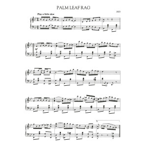 Palm Leaf Rag