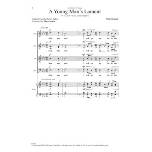 A Young Man's Lament