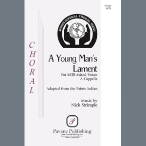 A Young Man's Lament