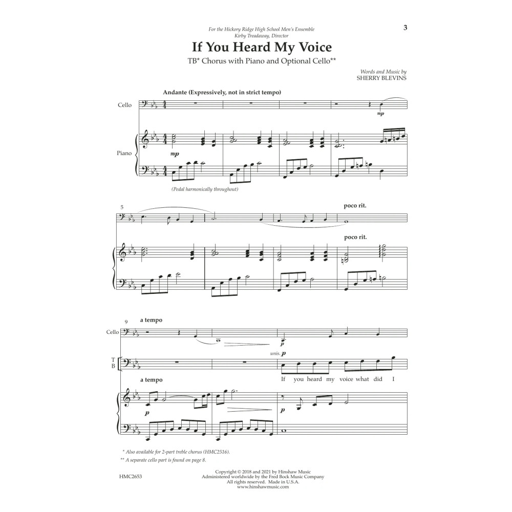 If You Heard My Voice