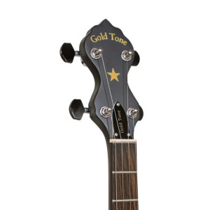 Gold Tone Ac-12a