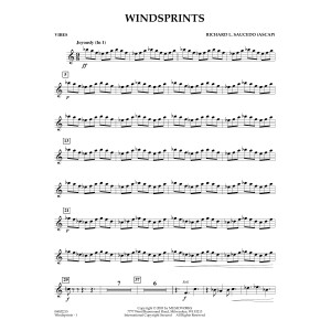 Windsprints - Vibes