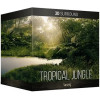 Boom Library Boom Tropical Jungle SURROUND