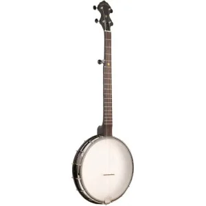 Gold Tone Ac-12 | Green Musicians