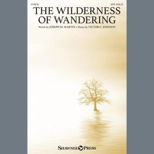 The Wilderness Of Wandering