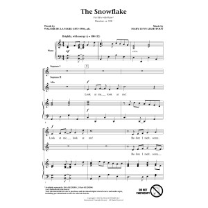 The Snowflake