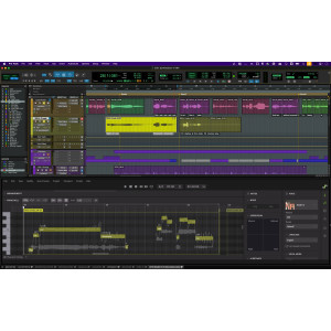Avid Pro Tools Ultimate - Mise à niveau Perpétuelle