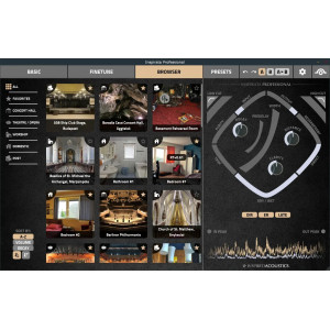 Inspired Acoustics Inspirata Professional