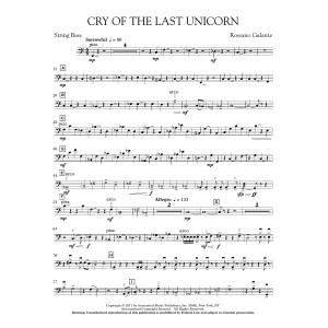 Cry Of The Last Unicorn - String Bass
