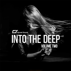 Reveal Sound Into The Deep Vol.2