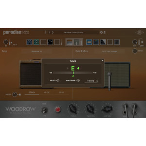 UAD Paradise Guitar Studio