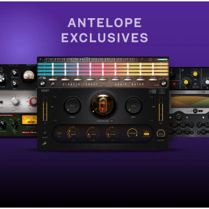 Synergy Core Native 1-Year